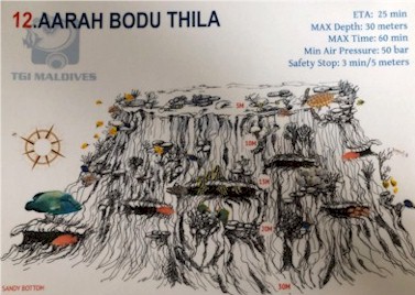 Aarah Bodu Thila